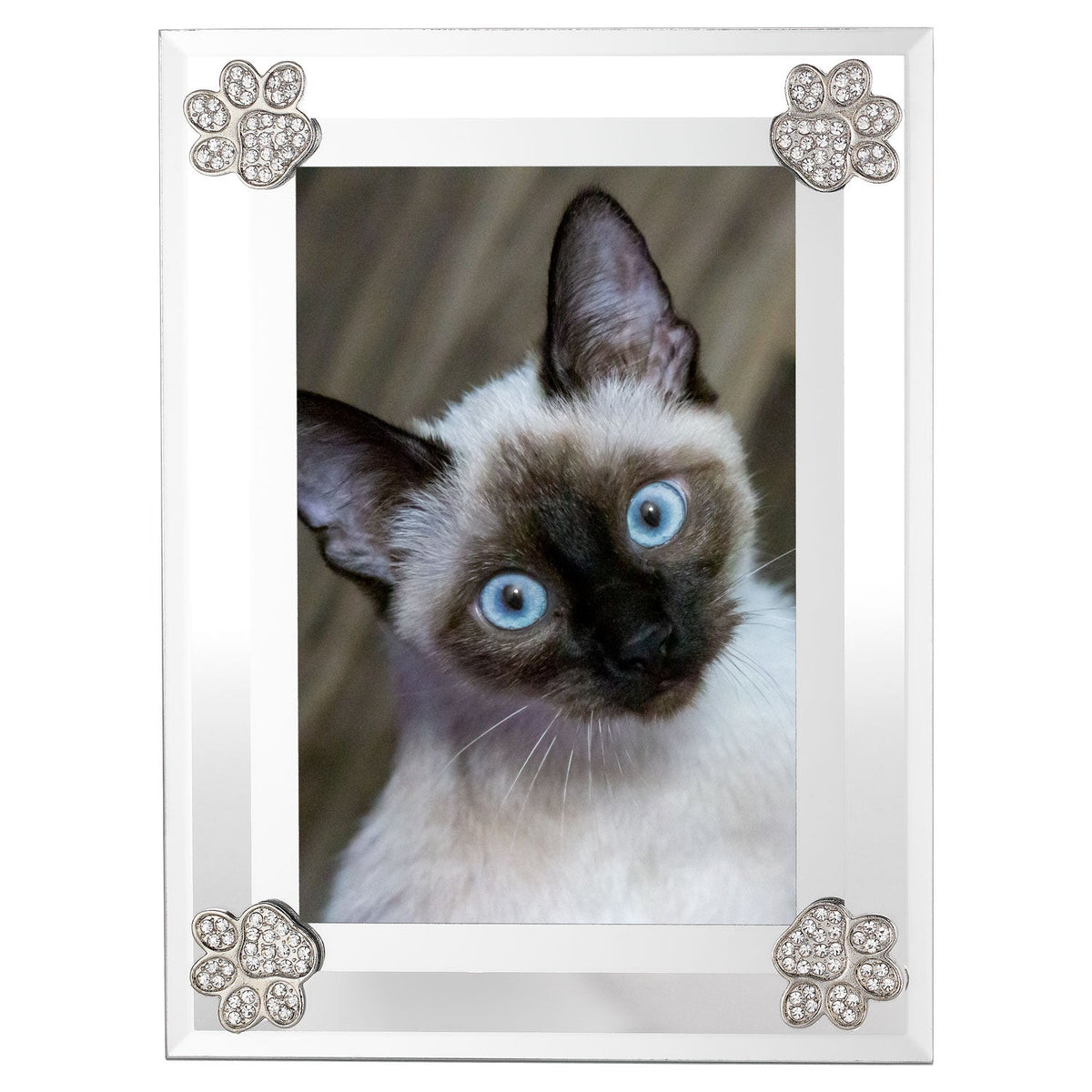 Paw Print Picture Frame