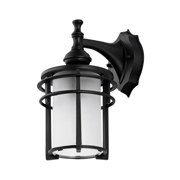 Safavieh Adisyn Outdoor Wall Sconce , PLT4025