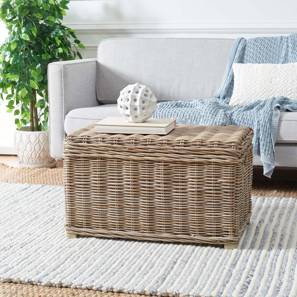 Mikasi Wicker Trunk | Safavieh - SEA7018 - Grey