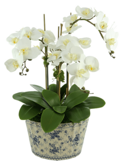 3 Stem White Orchid in Porcelain Round Planter