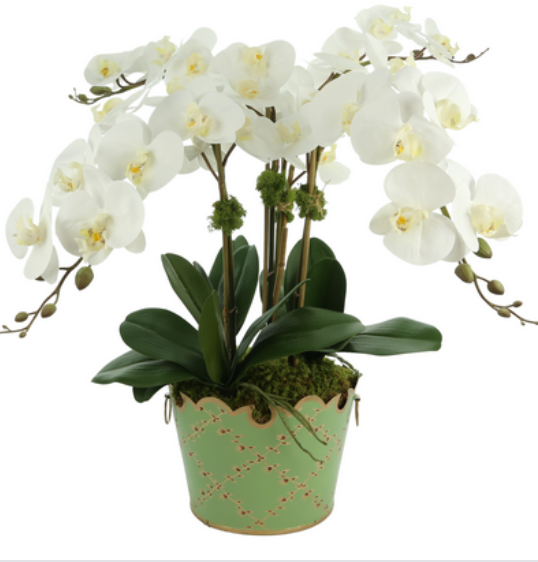 Fabulous three stem orchid in green trellis cache pot (5 color options)