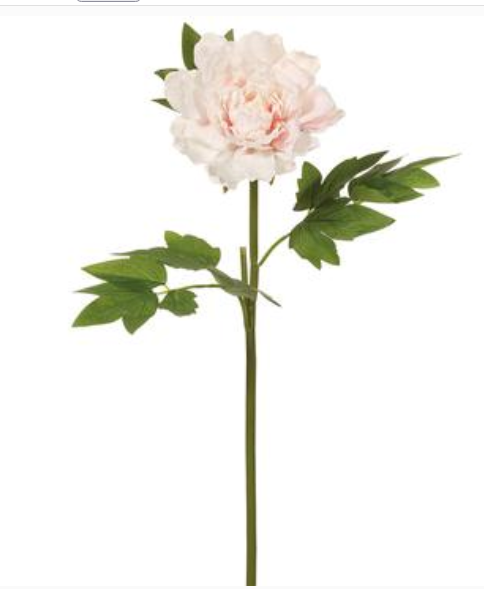 "Real touch" blush peony stems (box of 12)