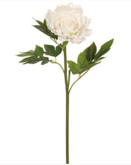 "Real touch" white peony stems (box of 12)