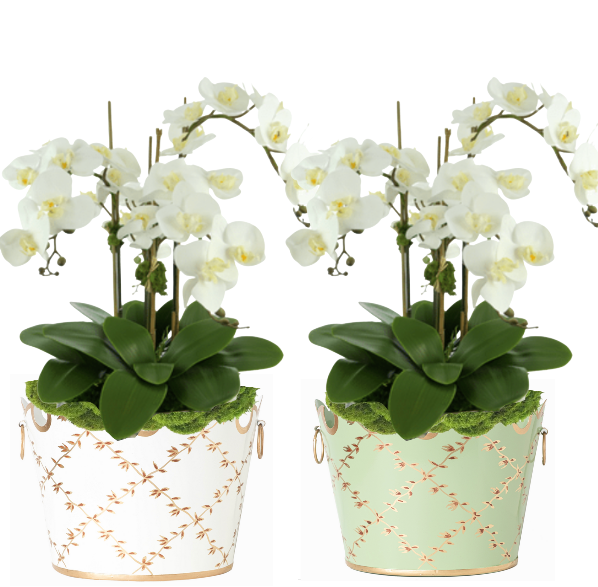 Fabulous 3 stem white phalaenopsis orchid planted in our trellis planter (2 colors)