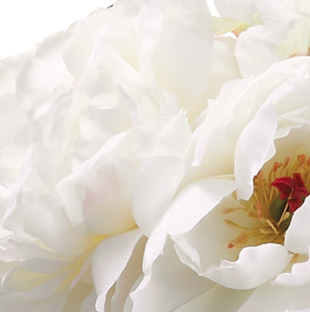 Ivory Peony Cluster