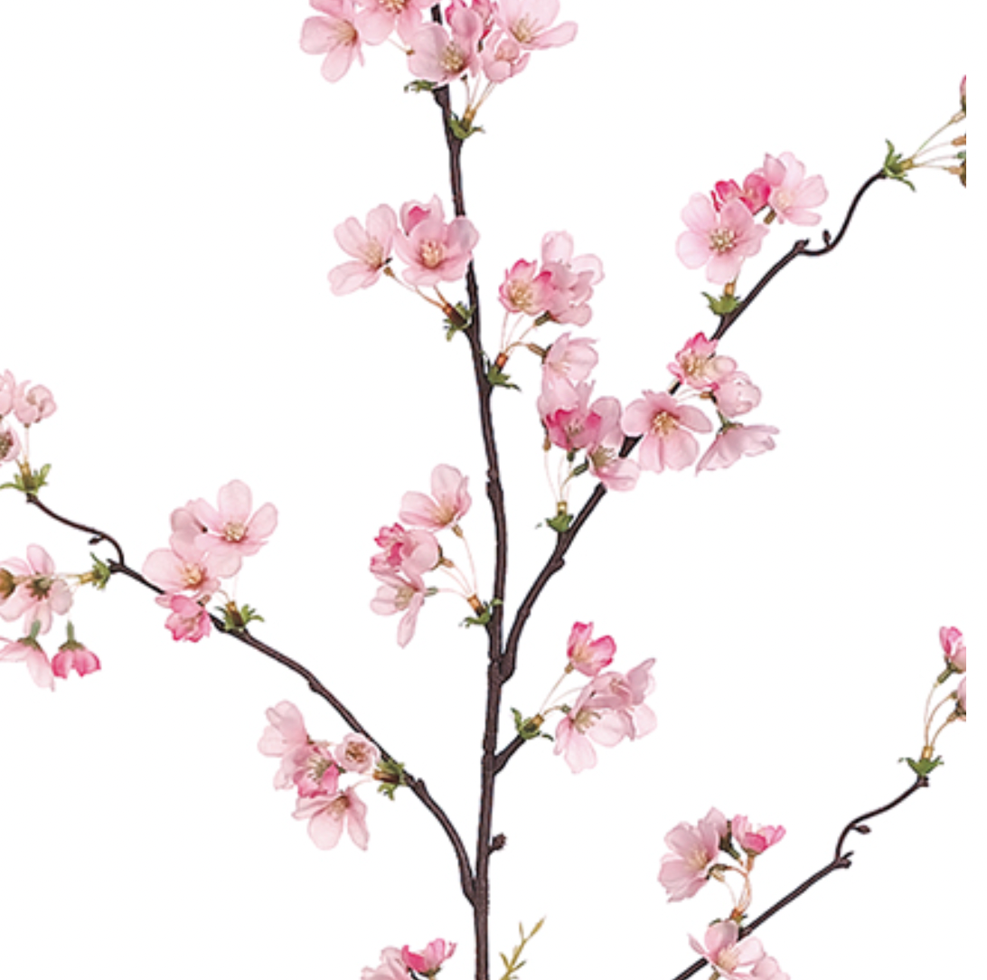 Pink Cherry Blossoms 36" (box of 12)