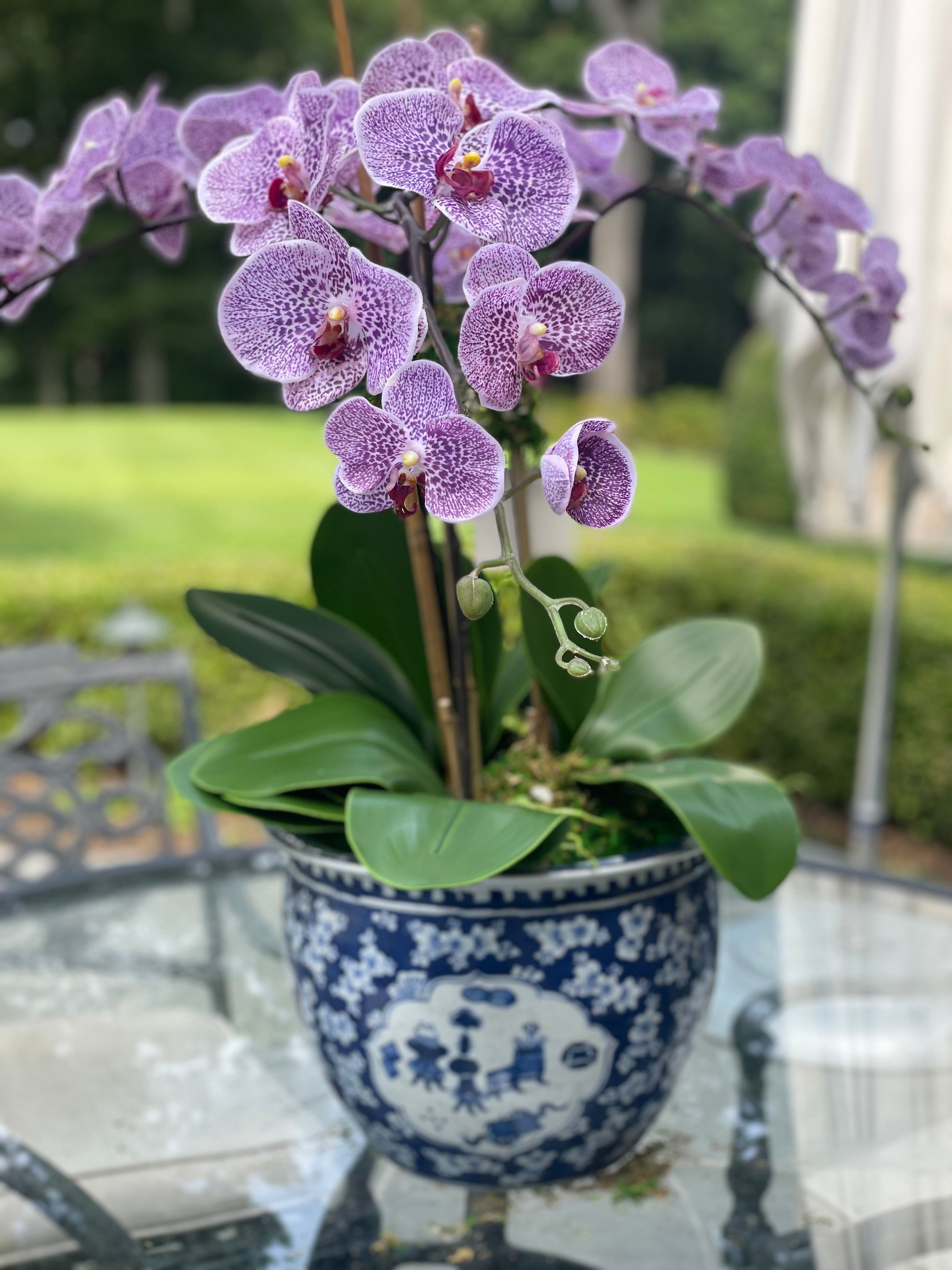 Incredible lifelike pink/purple drop in orchid arrangement (3 stem)