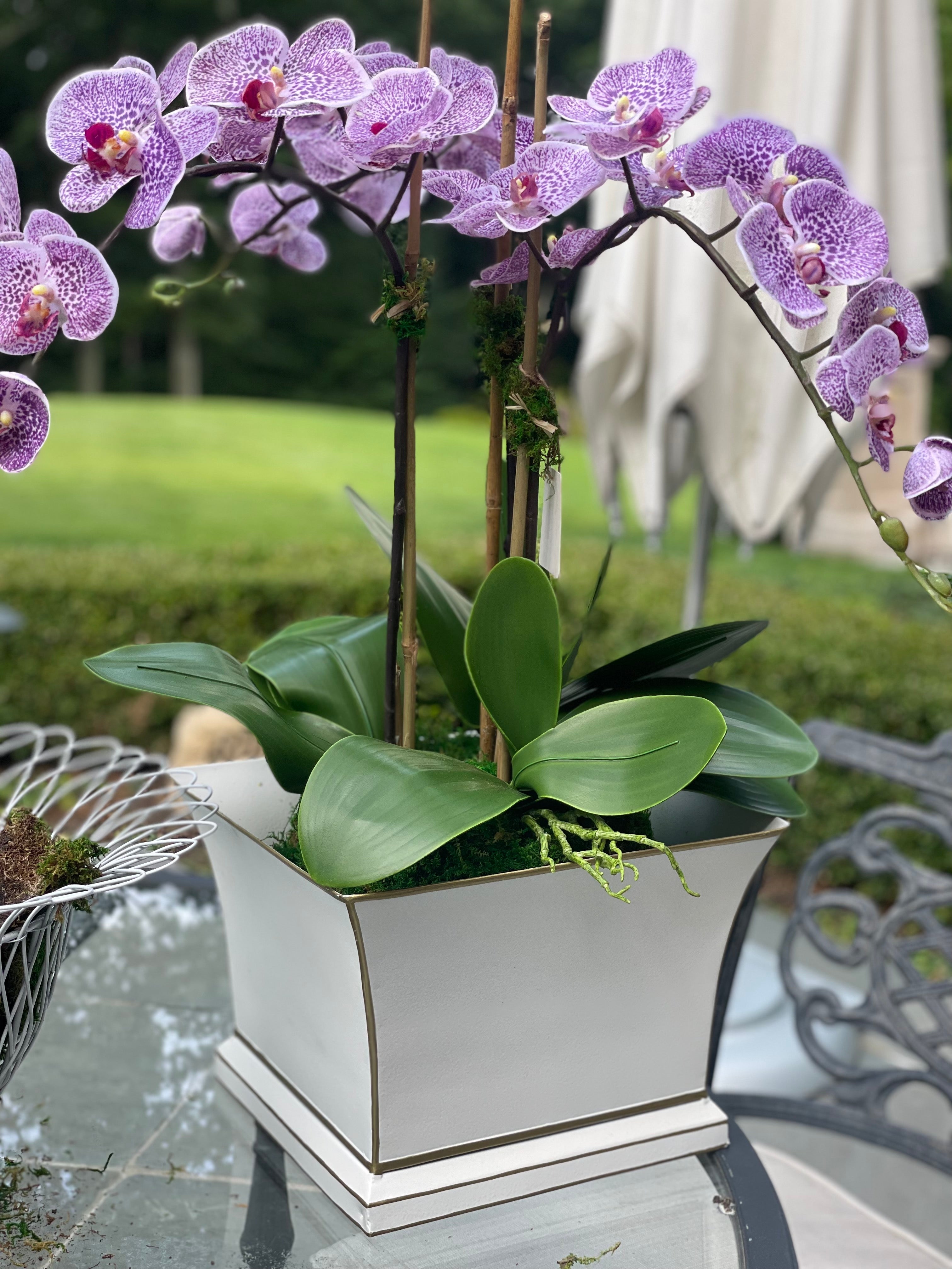 Incredible lifelike pink/purple drop in orchid arrangement (3 stem)