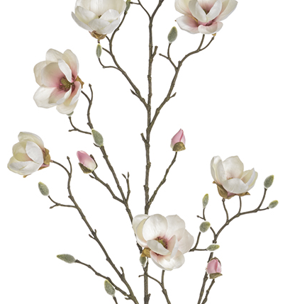 Box of 6 Lifelike Magnolia Pink & Cream Stems