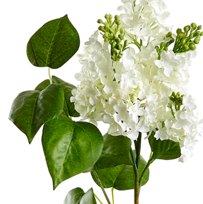 26" Lifelike White Lilac Stems (Box of 6)