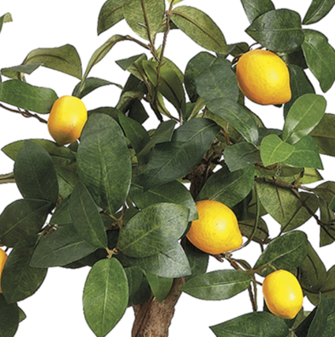 Gorgeous lifelike lemon topiary tree