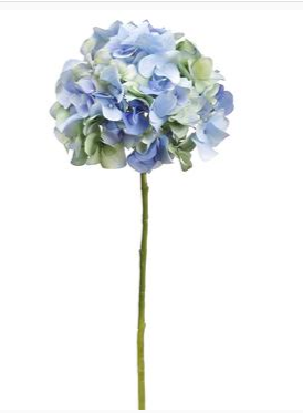 Box of 12 Lifelike Blue/Green Hydrangea Stems