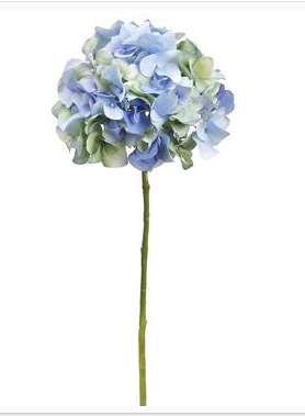 Gorgeous blue/green hydrangea stems (box of 12)