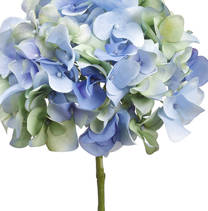 Box of 12 Lifelike Blue/Green Hydrangea Stems