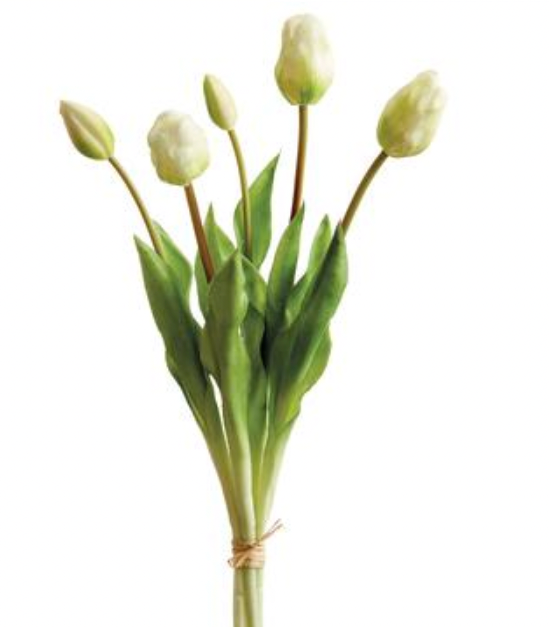 Gorgeous lifelike cream  tulip clusters (box of 6 clusters)