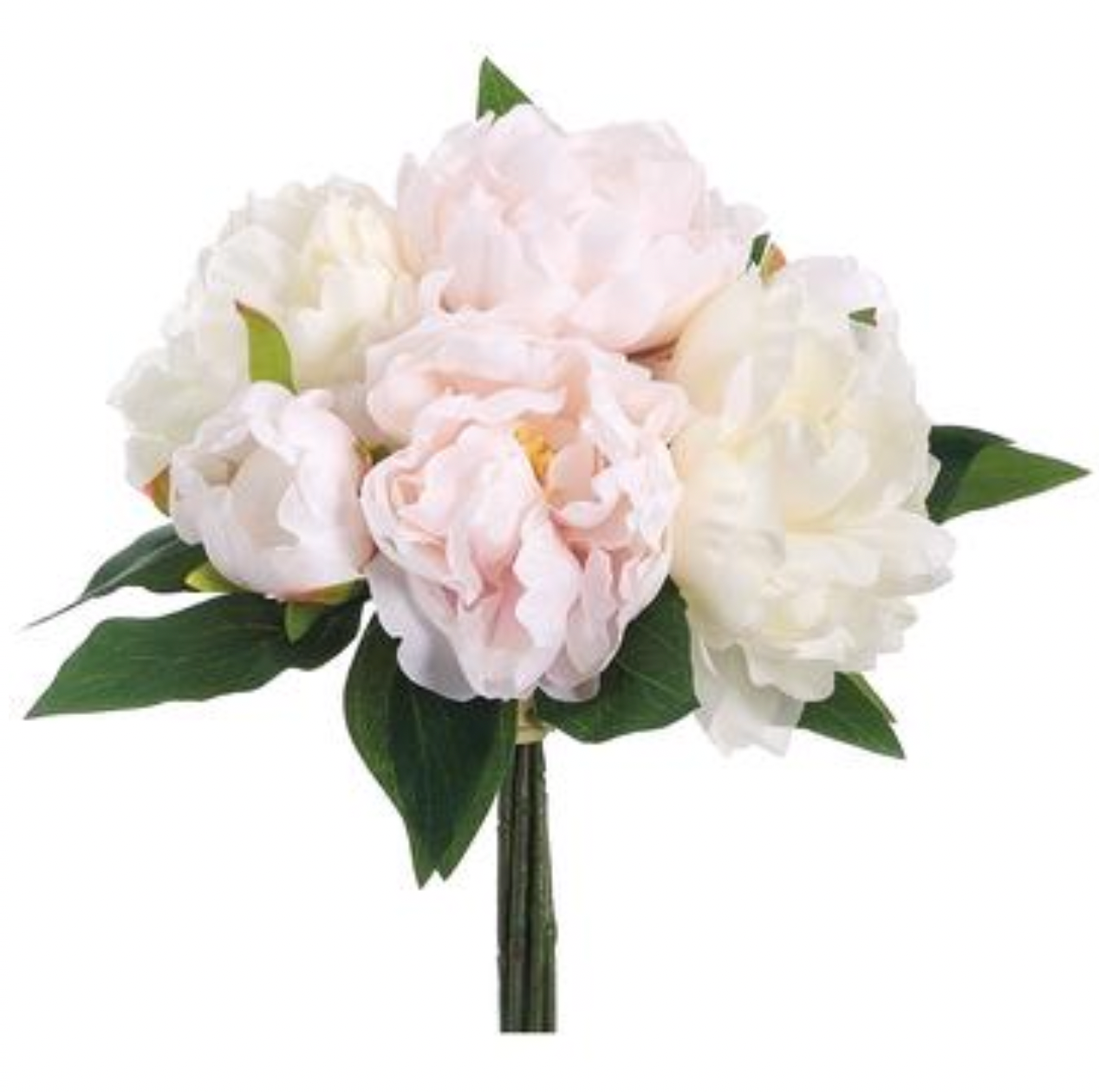 Blush Pink Peony Cluster