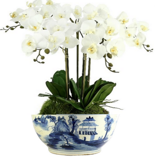 Incredible 5 stem extra large orchid arrangement (white)