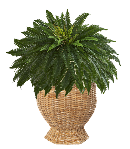 Deep Hexagon Wicker Planter