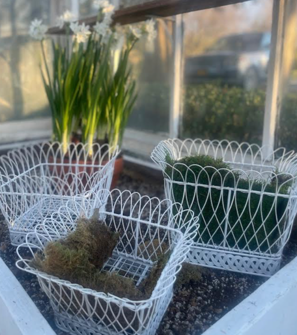 SQUARE WHITE FRENCH WIRE BASKET