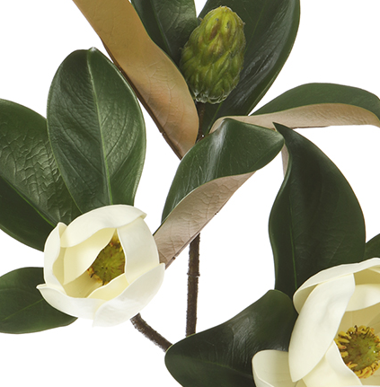 28" Lifelike Magnolia Stem (Box of 12)