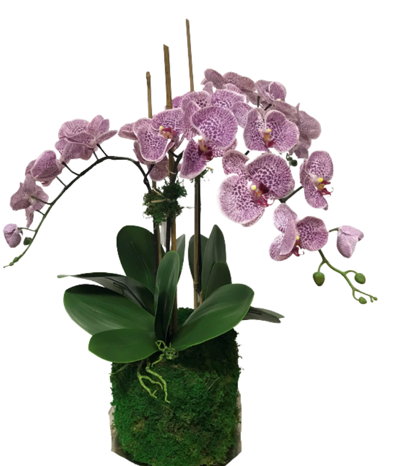 Incredible lifelike pink/purple drop in orchid arrangement (3 stem)