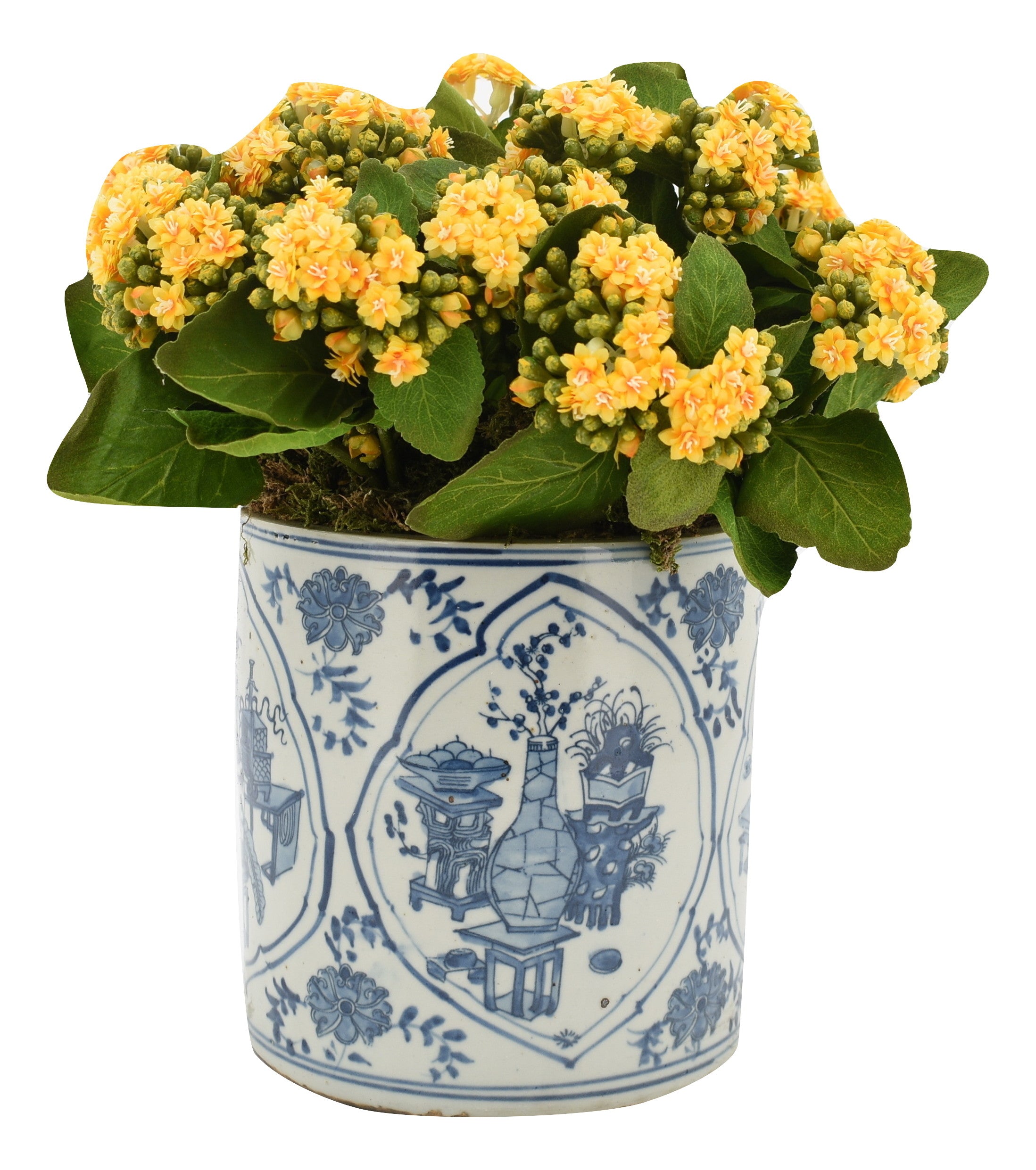 Yellow Kalanchoe in Porcelain Round Planter