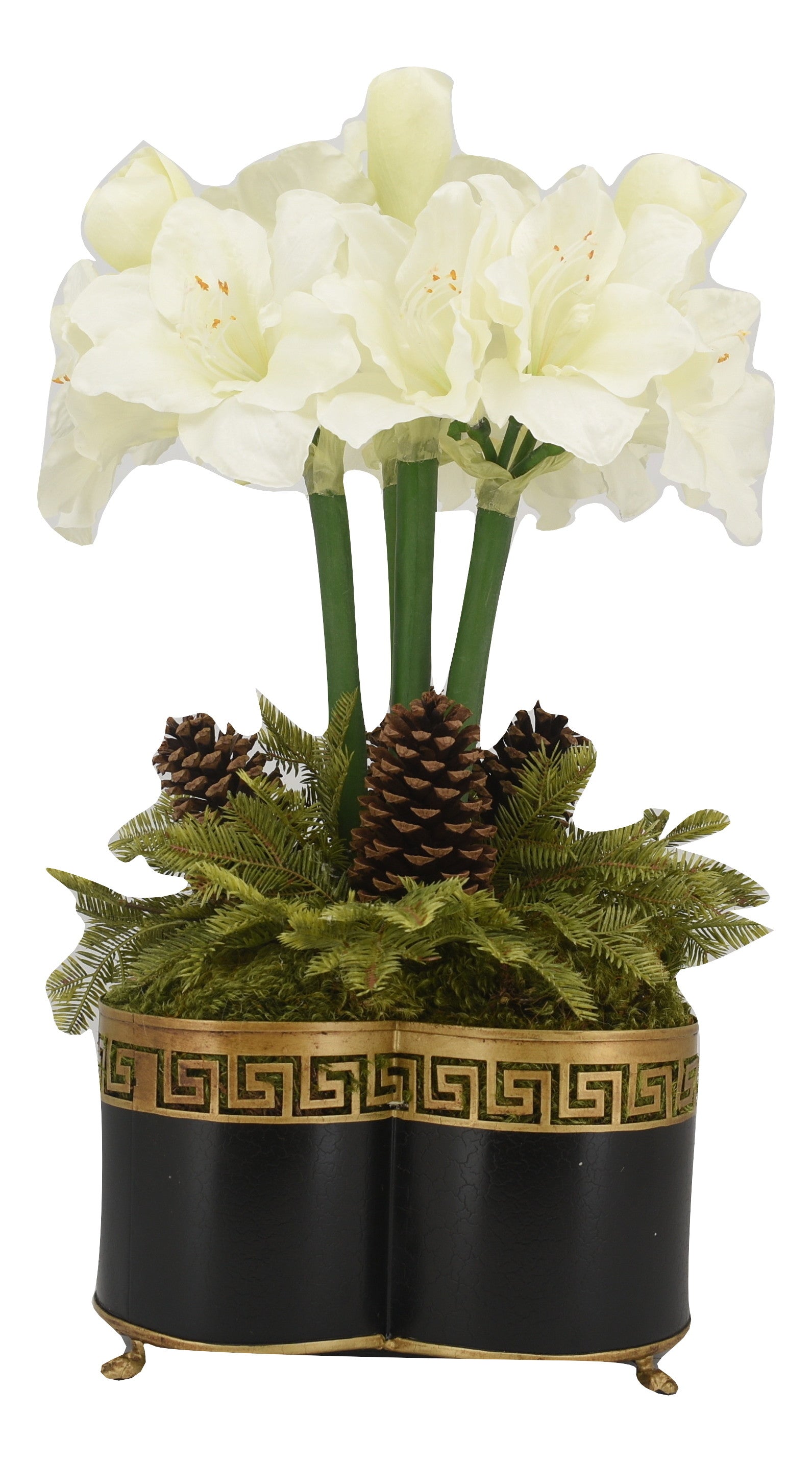 Spectacular four stem white amaryllis in black Greek key quatrefoil planter