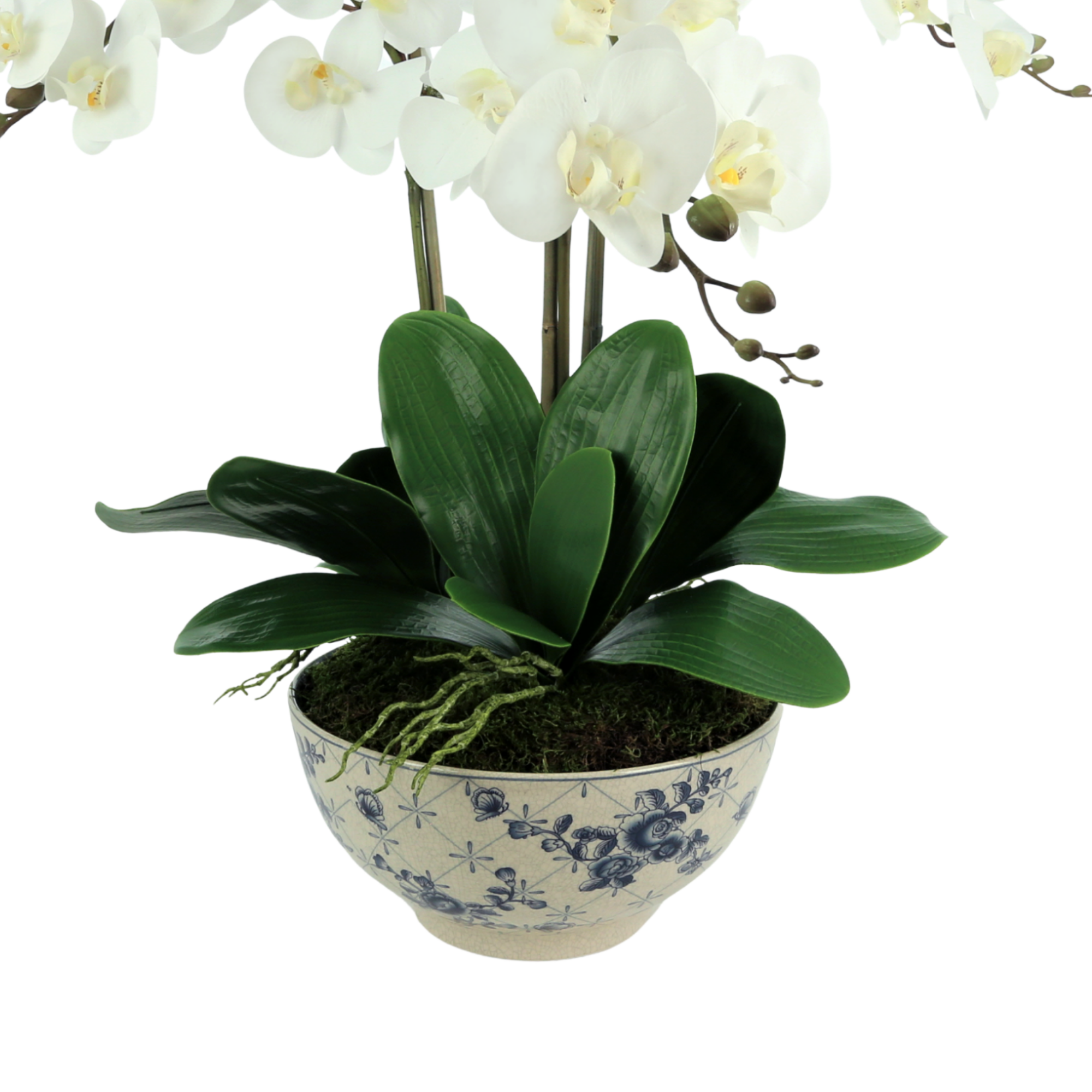 Fabulous three stem white orchid in white trellis bowl