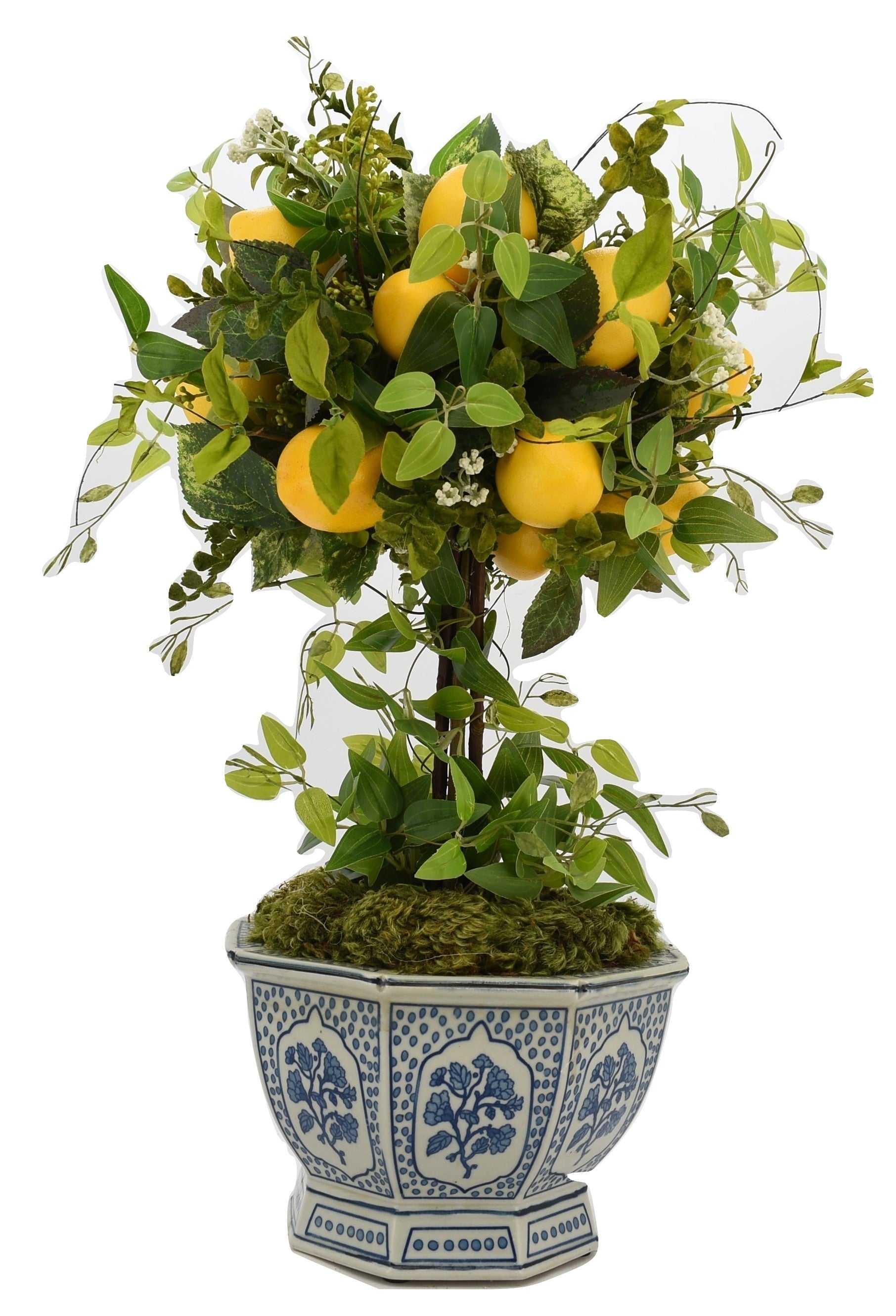 Lemon Topiary Tree in Porcelain Hexagon Planter