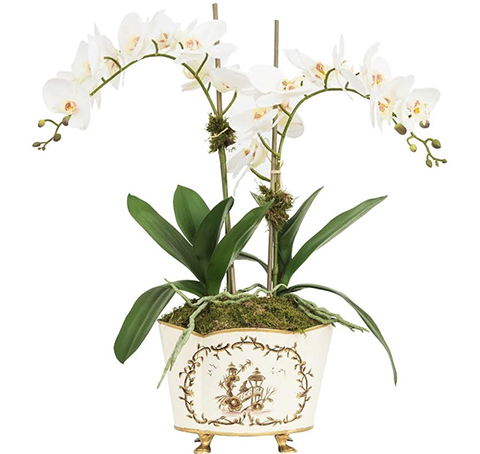 Gorgeous orchids in ivory/gold tole container