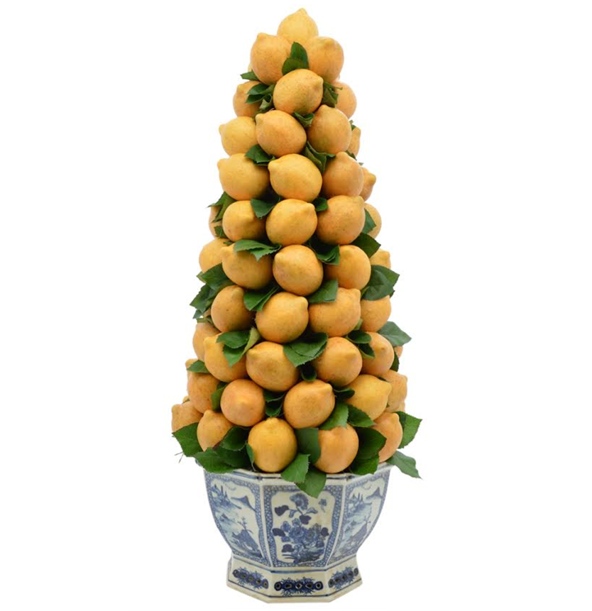 Tall Lemon Topiary in Porcelain Hexagon Planter