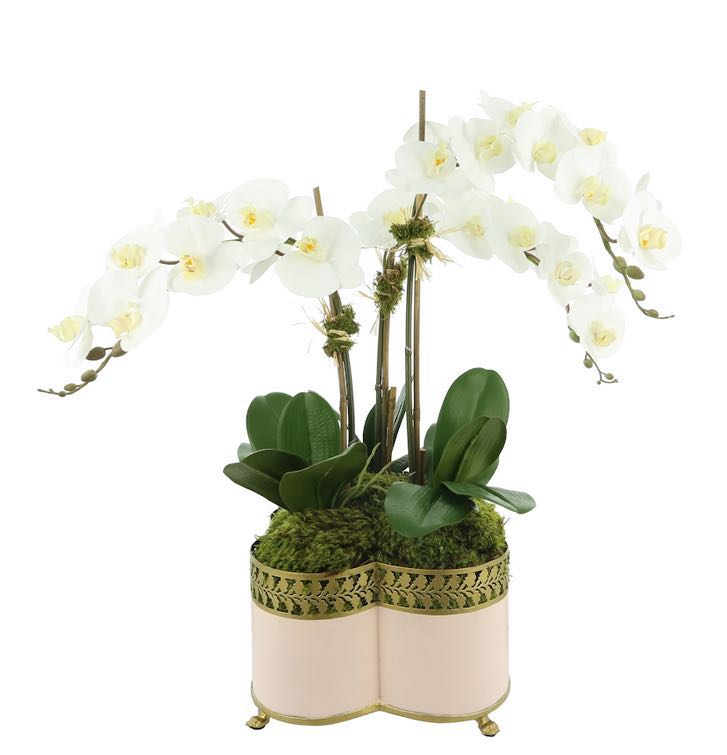 Incredible new lifelike orchid in pale pink quatrefoil planter