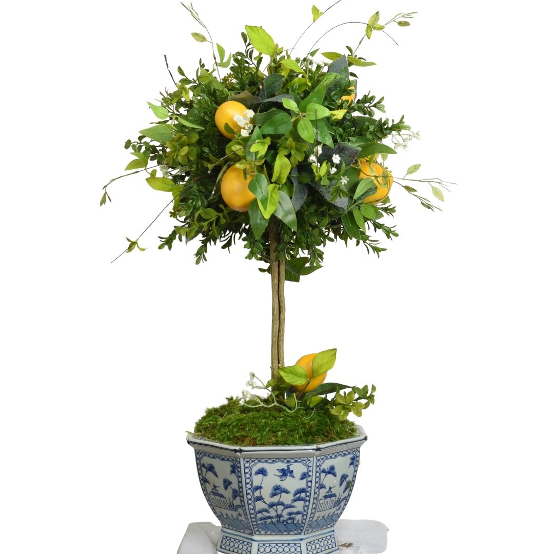 Gorgeous mid sized lemon and greenery topiary in trellis planter