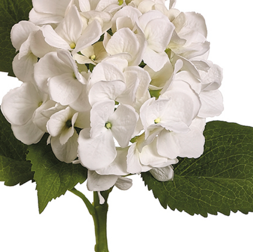 White Lifelike Hydrangea Stems (Box of 12)