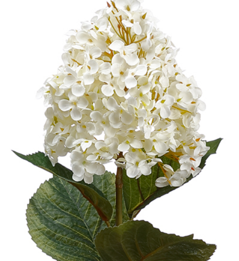 Stunning 28" oakleaf white hydrangeas (box of 12)