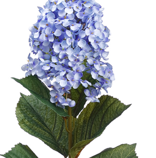 Stunning 32" oakleaf blue/purple hydrangeas (box of 12)