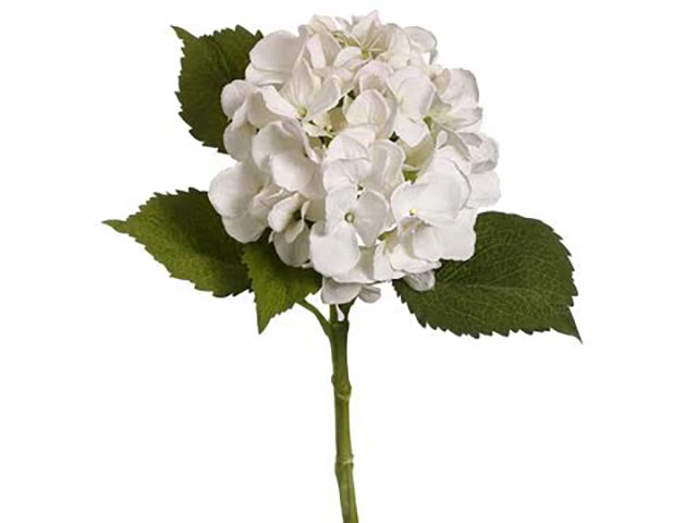 Fabulous lifelike hydrangeas