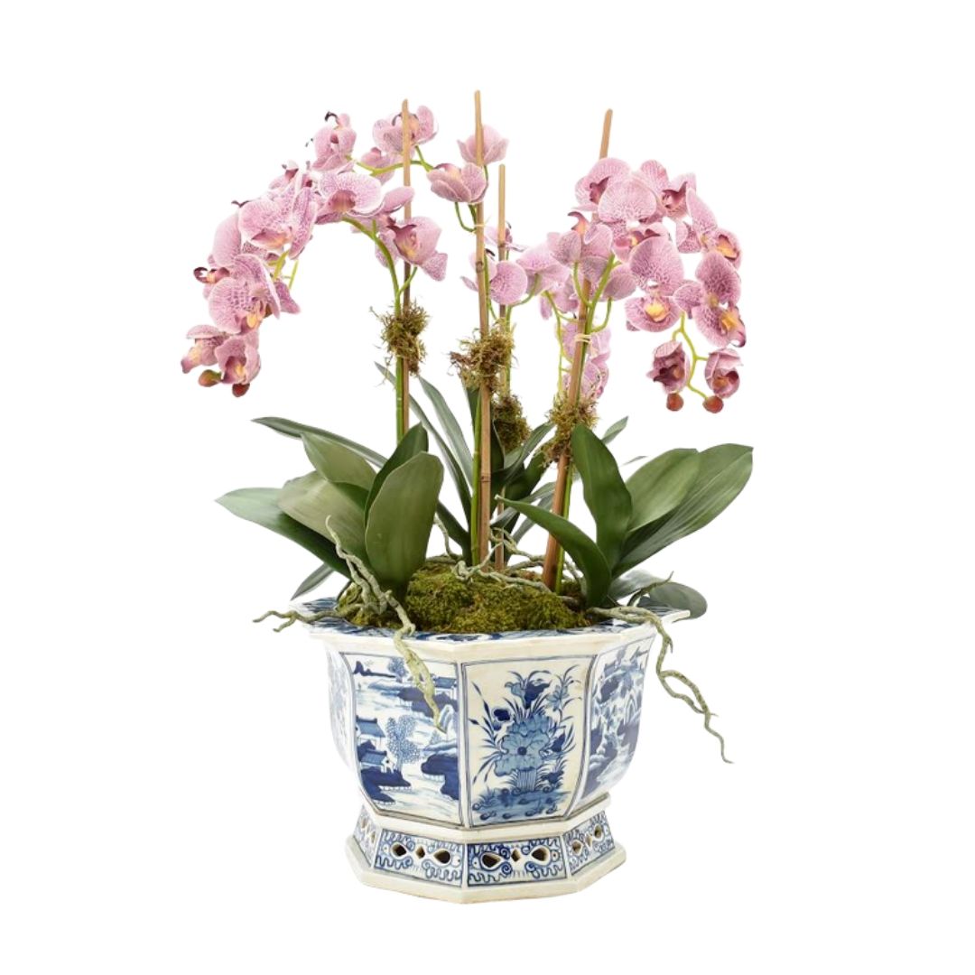 Four Stem Pink/Purple Orchid in Scalloped Floral Planter